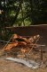 DSC04264_800x1200