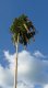 P1230080_664x1200