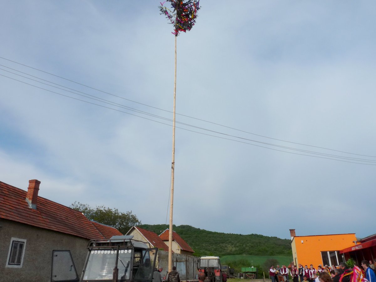 Stavanie mája 2014